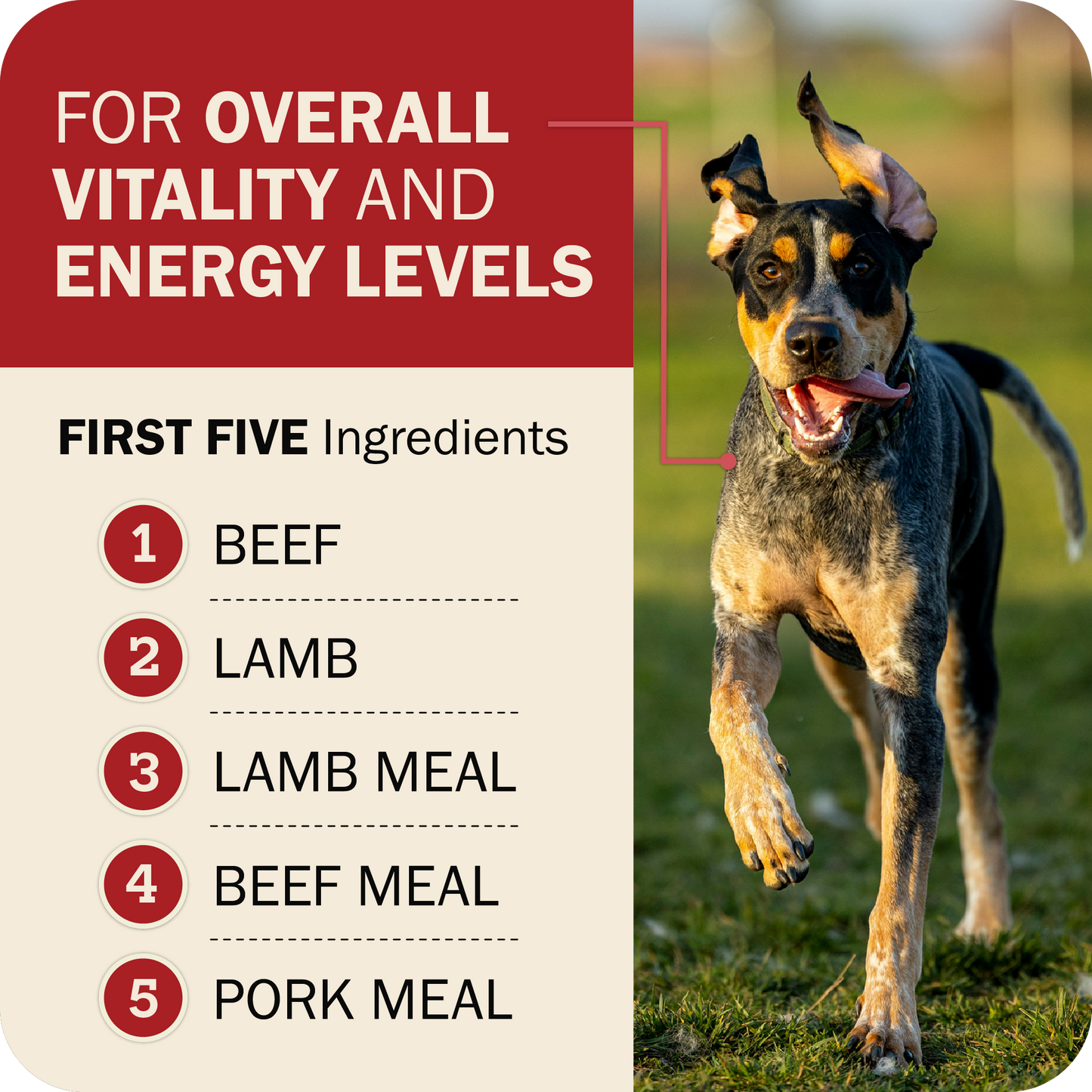 Powerfood Fusion Grain-Free Land Mix Recipe