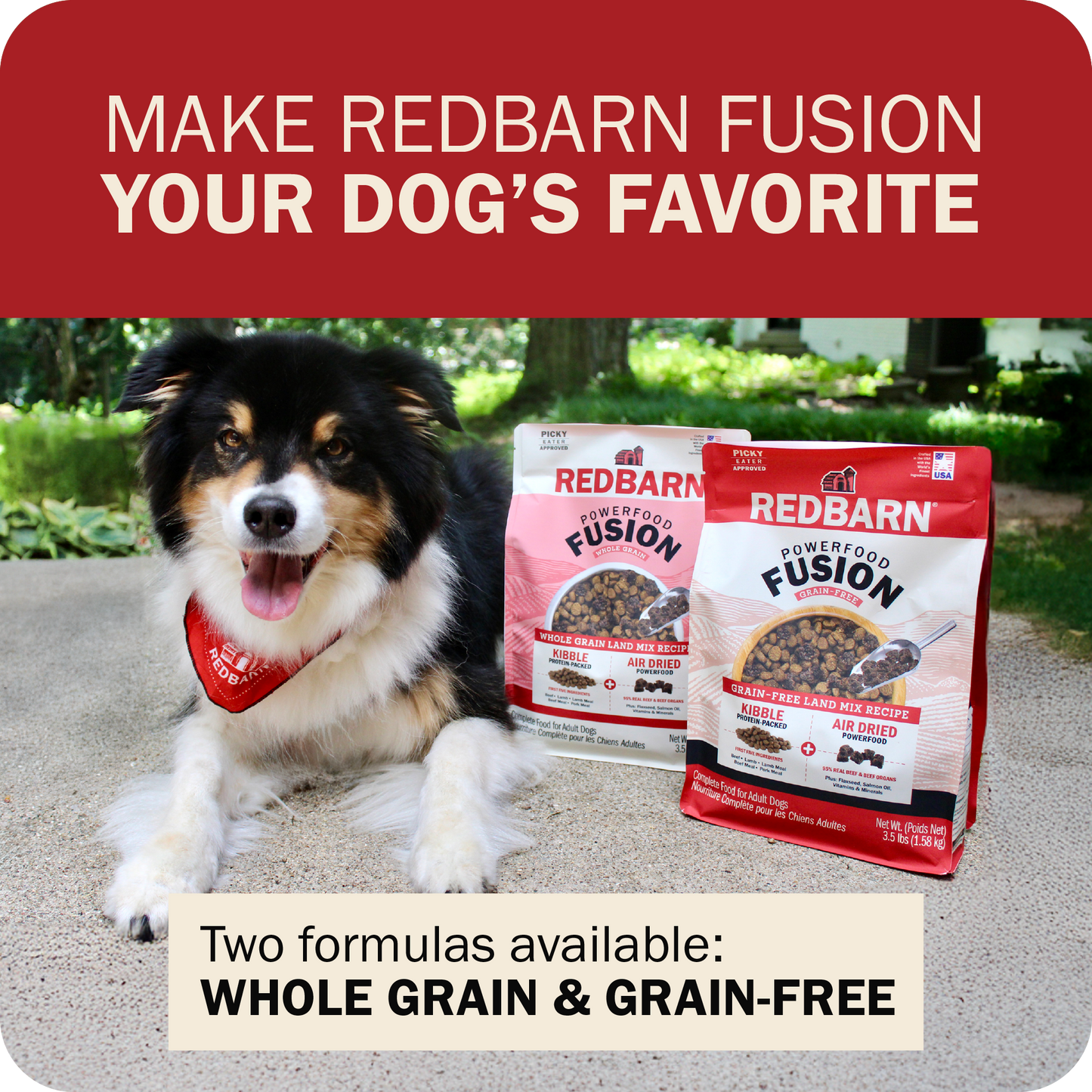 Powerfood Fusion Grain-Free Land Mix Recipe