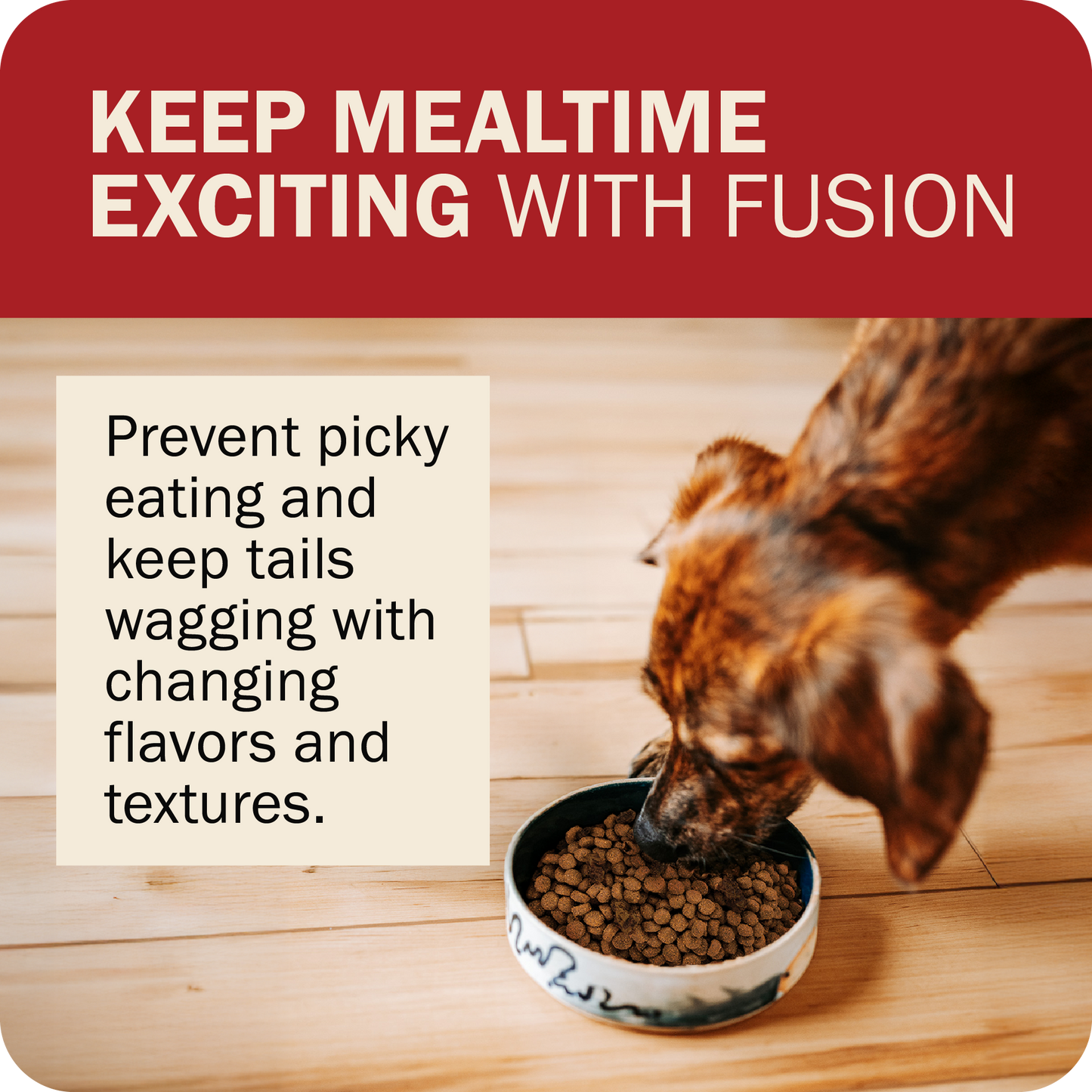 Powerfood Fusion Grain-Free Land Mix Recipe