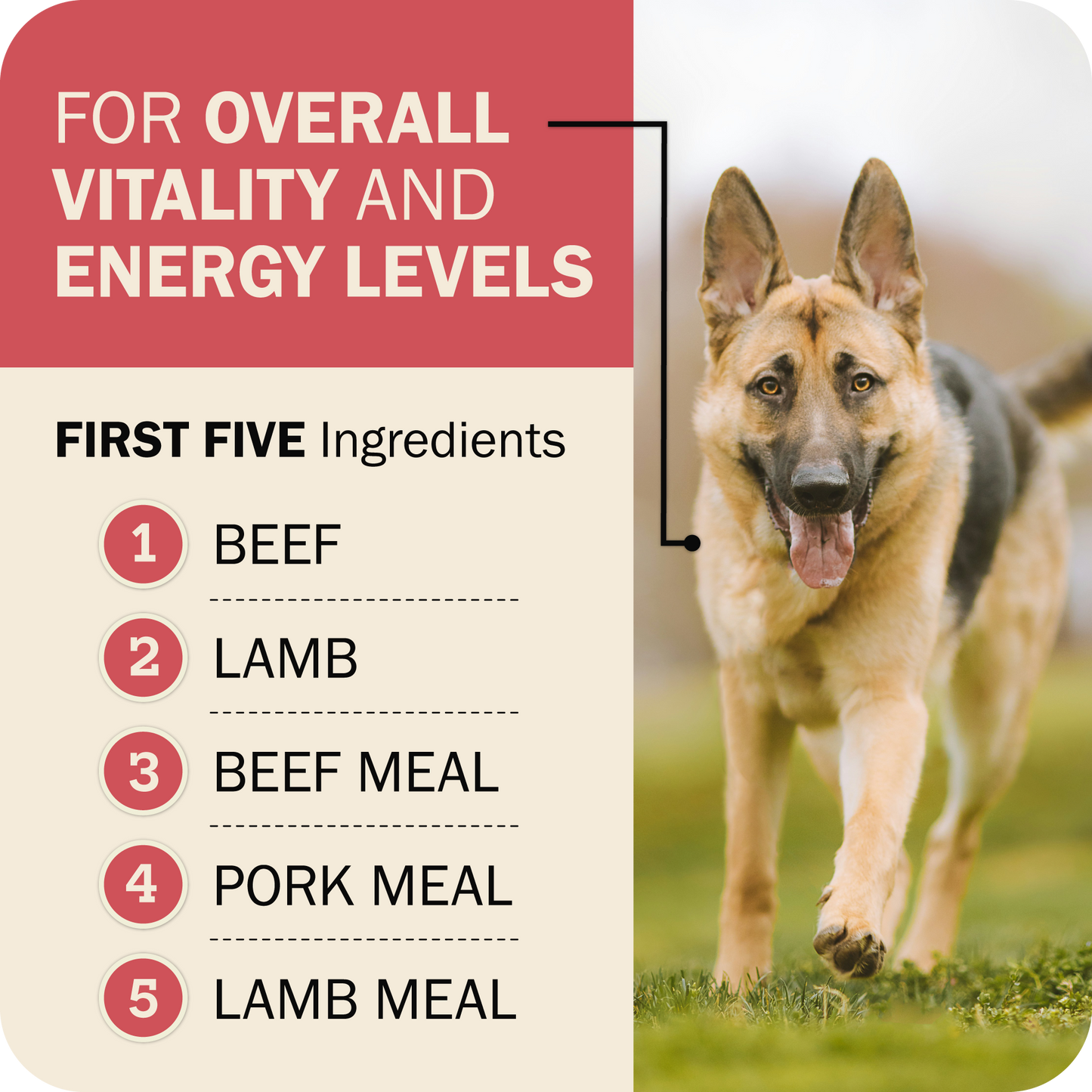 Powerfood Fusion Whole Grain Land Mix Recipe