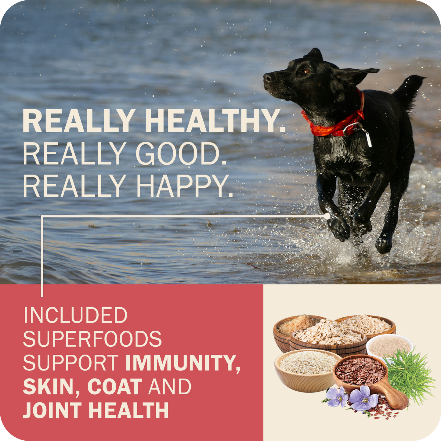 Powerfood Fusion Whole Grain Land Mix Recipe