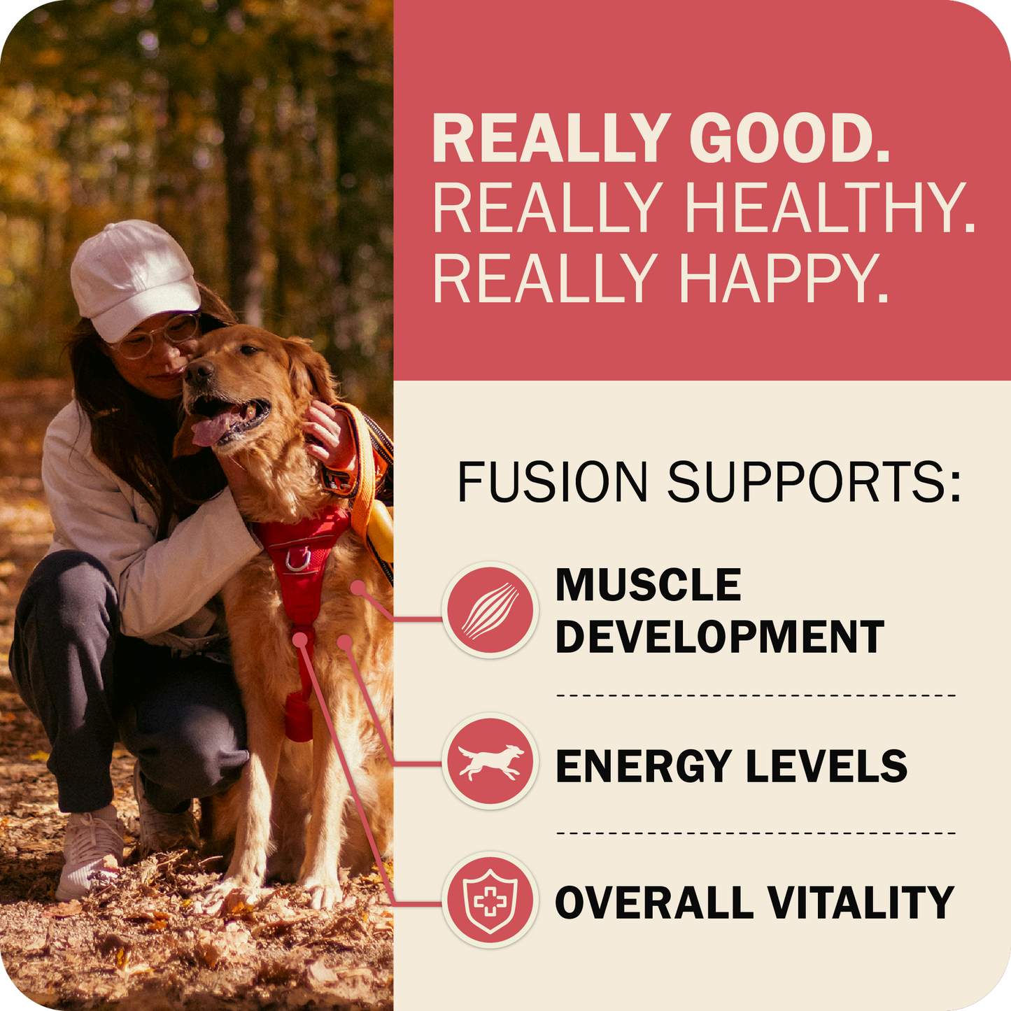 Powerfood Fusion Whole Grain Land Mix Recipe