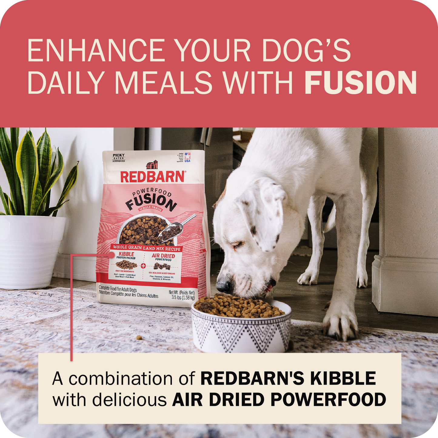 Powerfood Fusion Whole Grain Land Mix Recipe