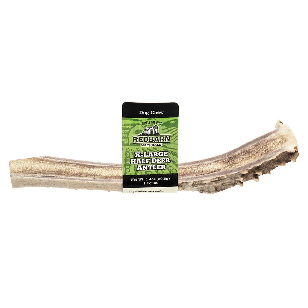 Half Deer Antler