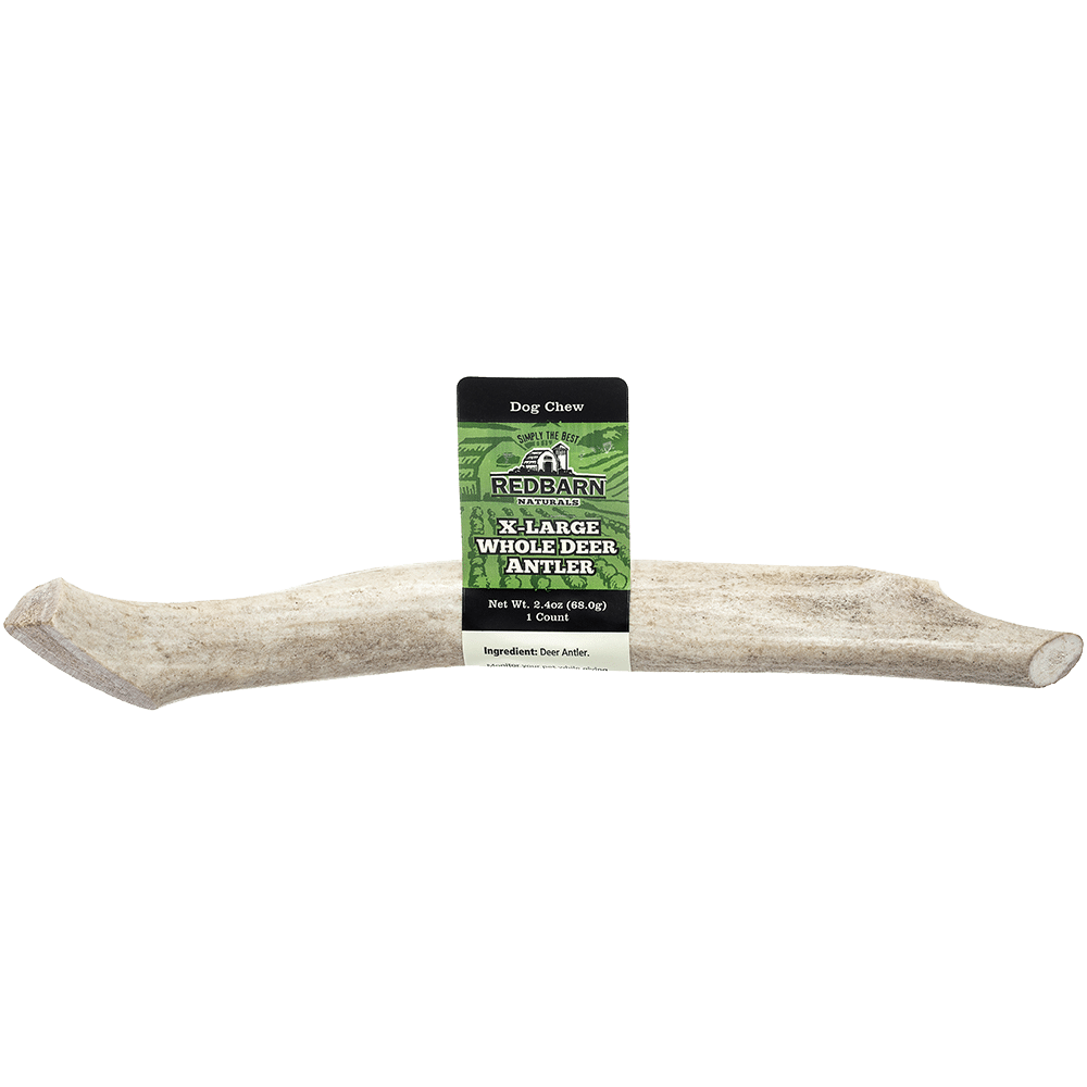 Whole Deer Antler