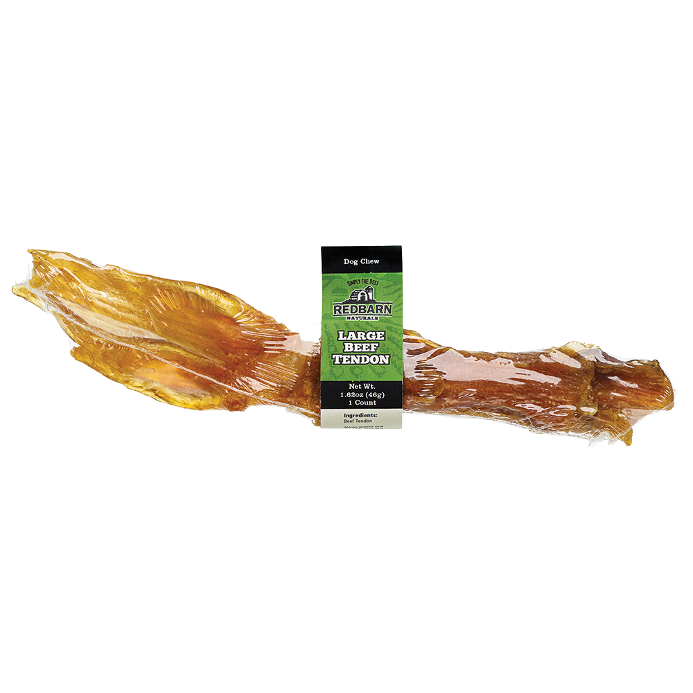 Beef Tendon