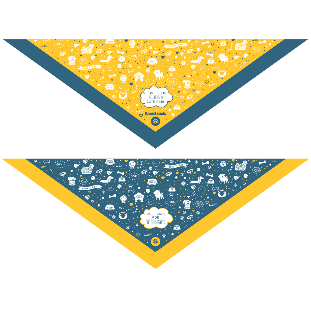 Pawstruck Reversible Dog Bandana