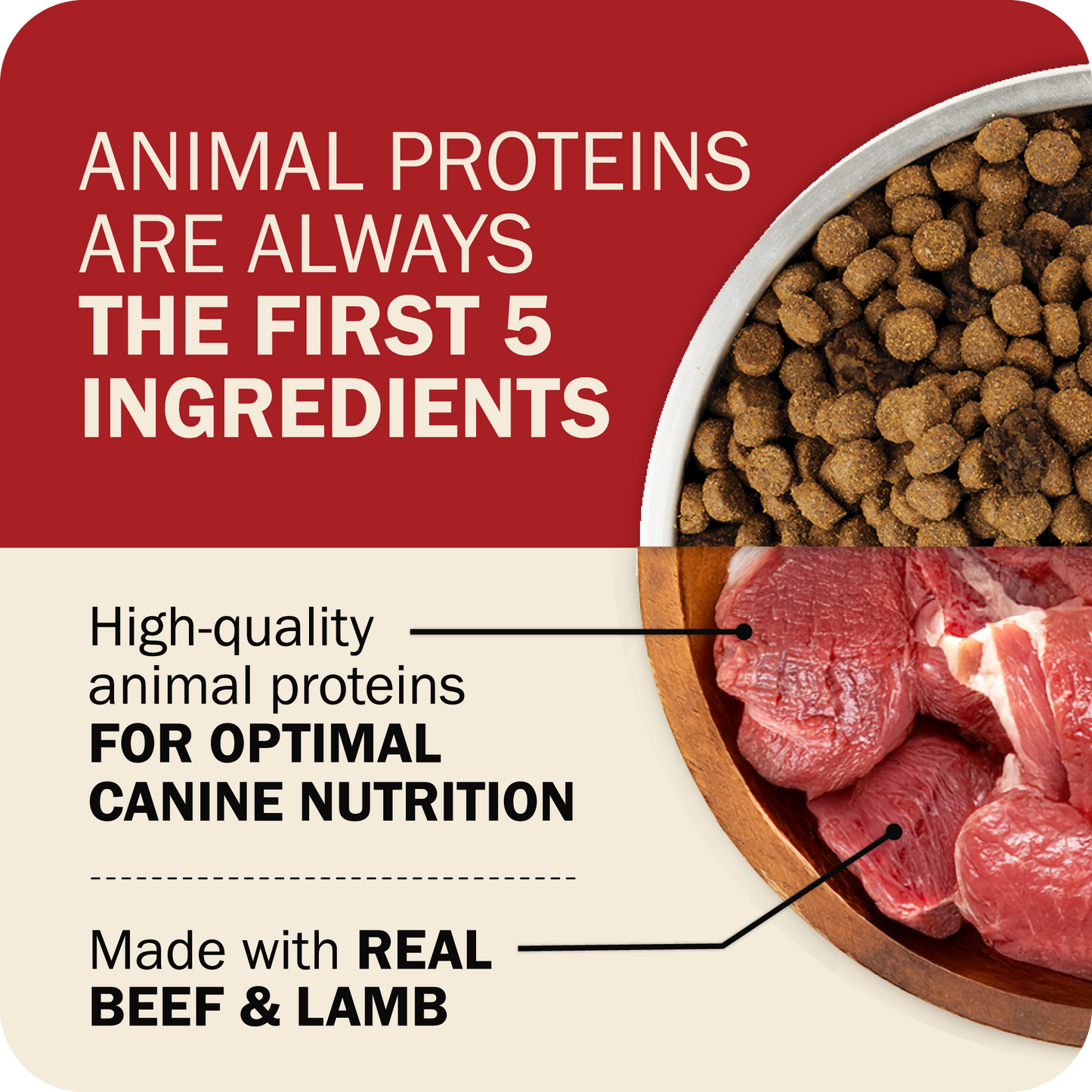 Powerfood Fusion Grain-Free Land Mix Recipe