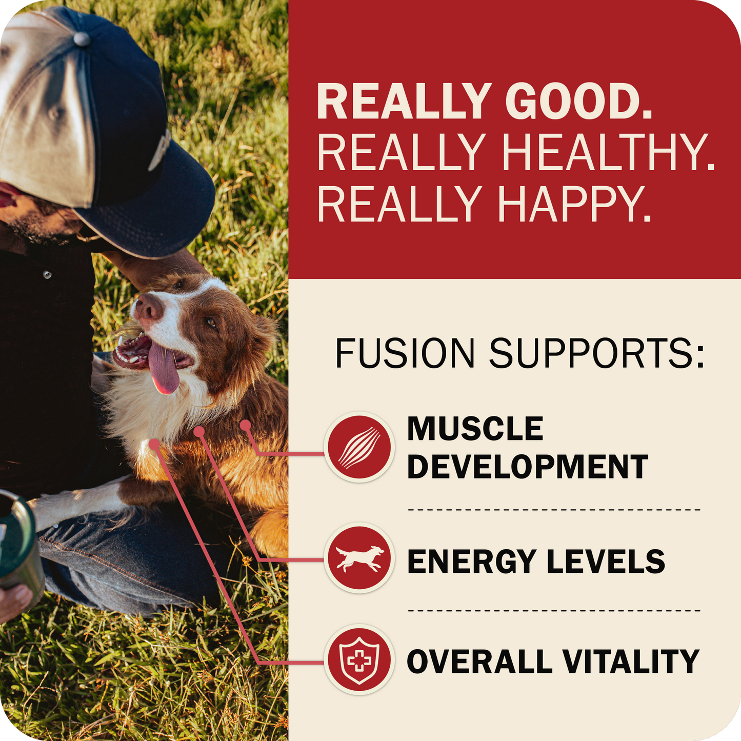 Powerfood Fusion Grain-Free Land Mix Recipe