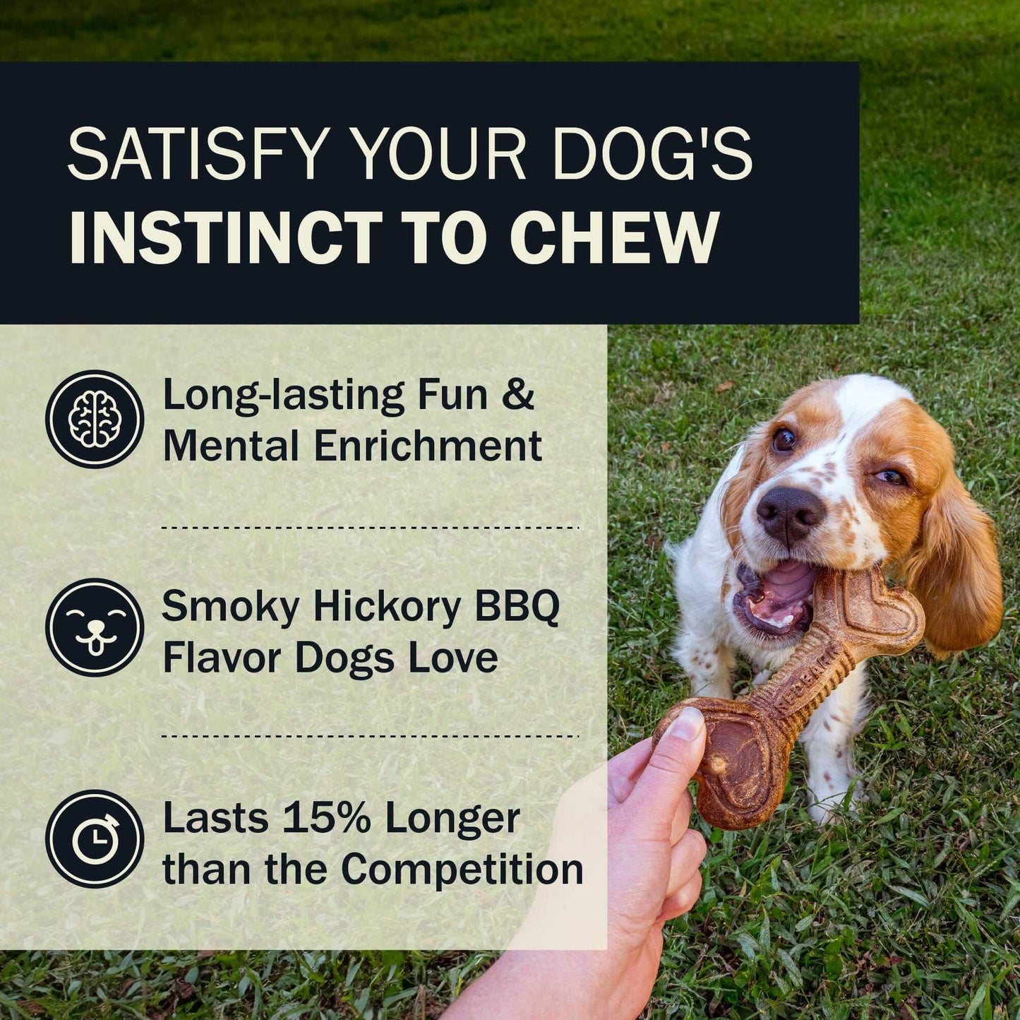 Satisfy Your Dog's Instinct To Chew