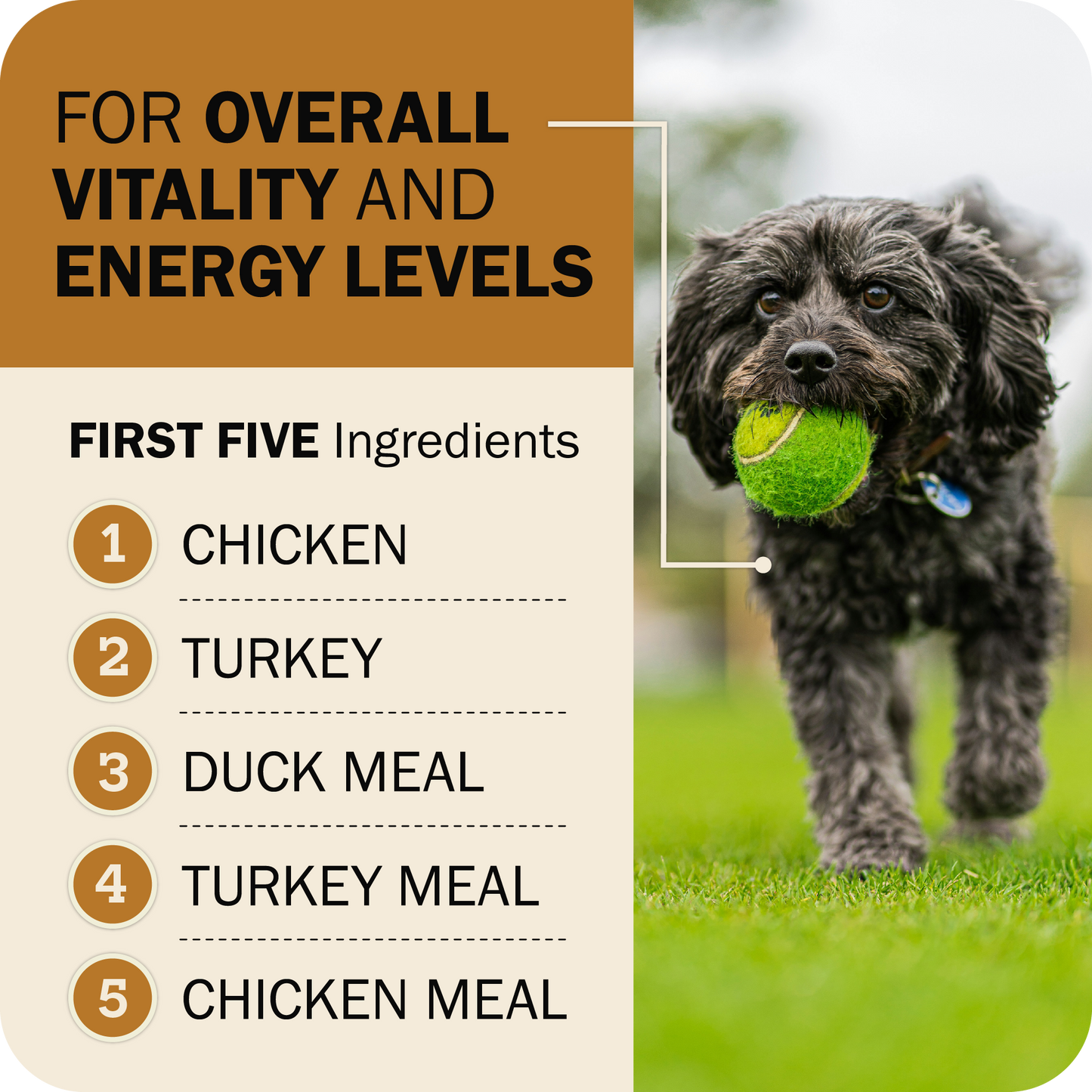 Powerfood Fusion Grain-Free Sky Mix Recipe