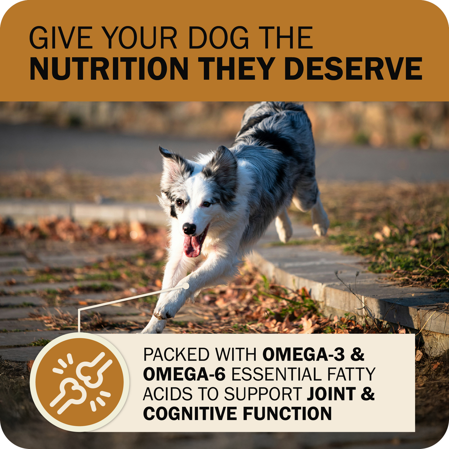 Powerfood Fusion Grain-Free Sky Mix Recipe