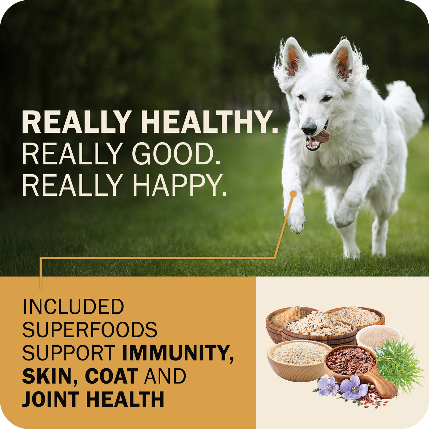 Powerfood Fusion Whole Grain Sky Mix Recipe