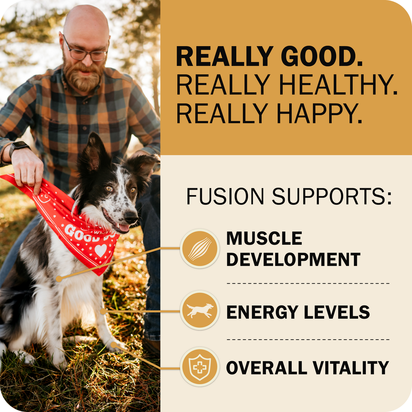 Powerfood Fusion Whole Grain Sky Mix Recipe
