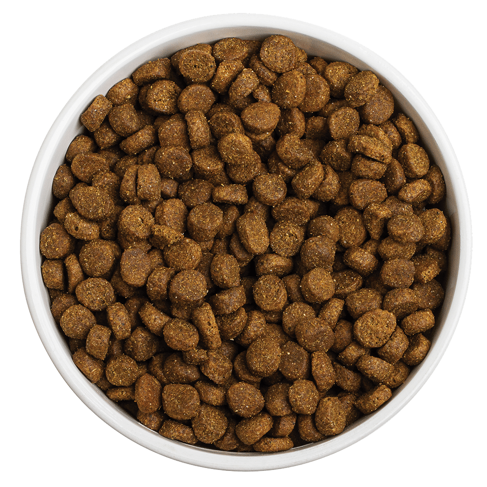 Whole Grain Sky Recipe Dog Food