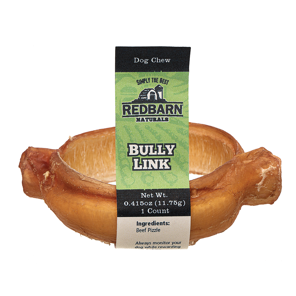 Bully Link
