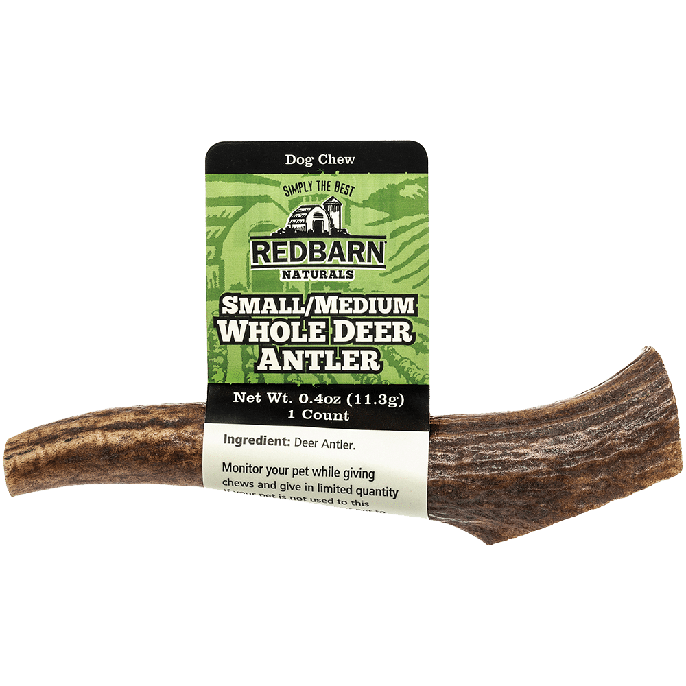 Whole Deer Antler