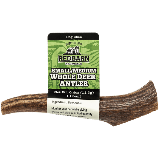 Whole Deer Antler