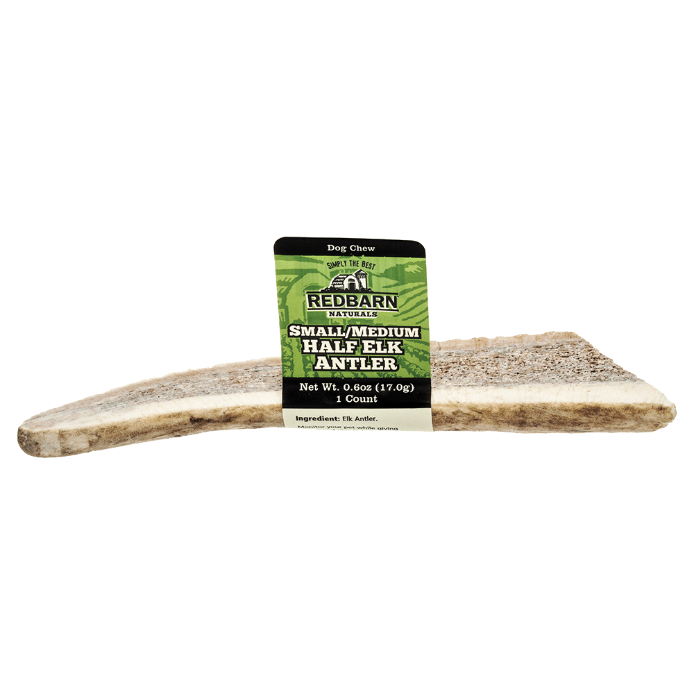 Elk Antler