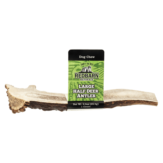 Half Deer Antler