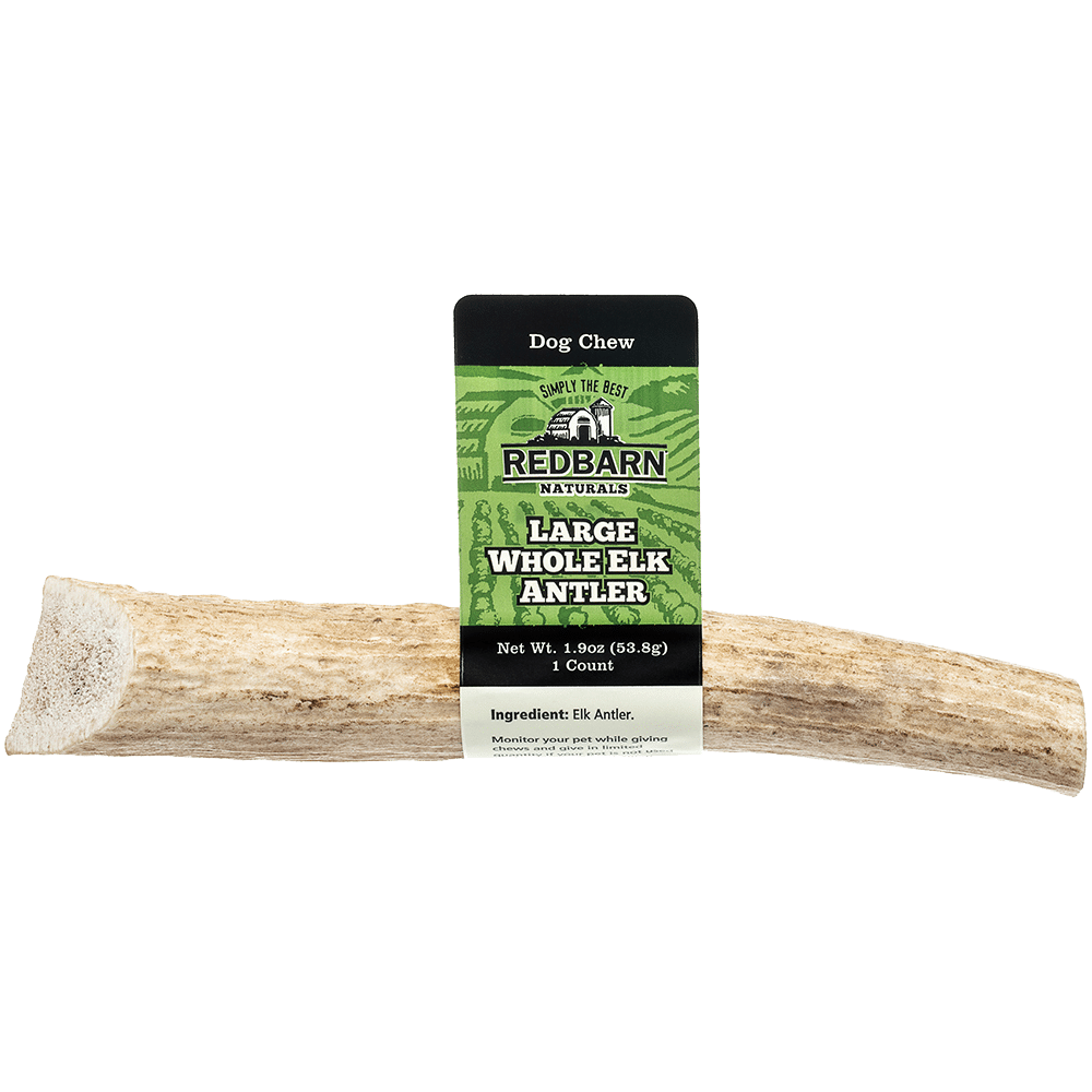 Elk Antler
