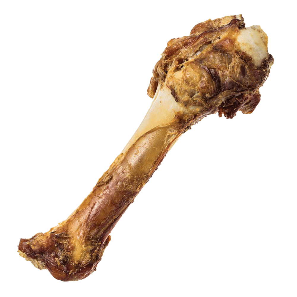 Shank Bone