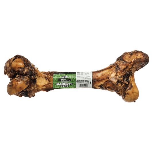 Mammoth Bone