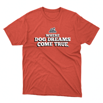 Dog Food Dreams Tee - Small through 2XL