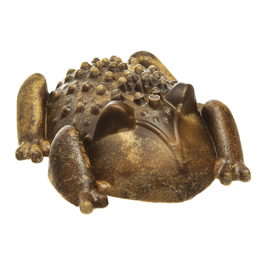 Chew-A-Bulls® Horned Toad