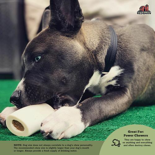 Dog with a Natural Filled Bone Cheese N' Bacon Flavor