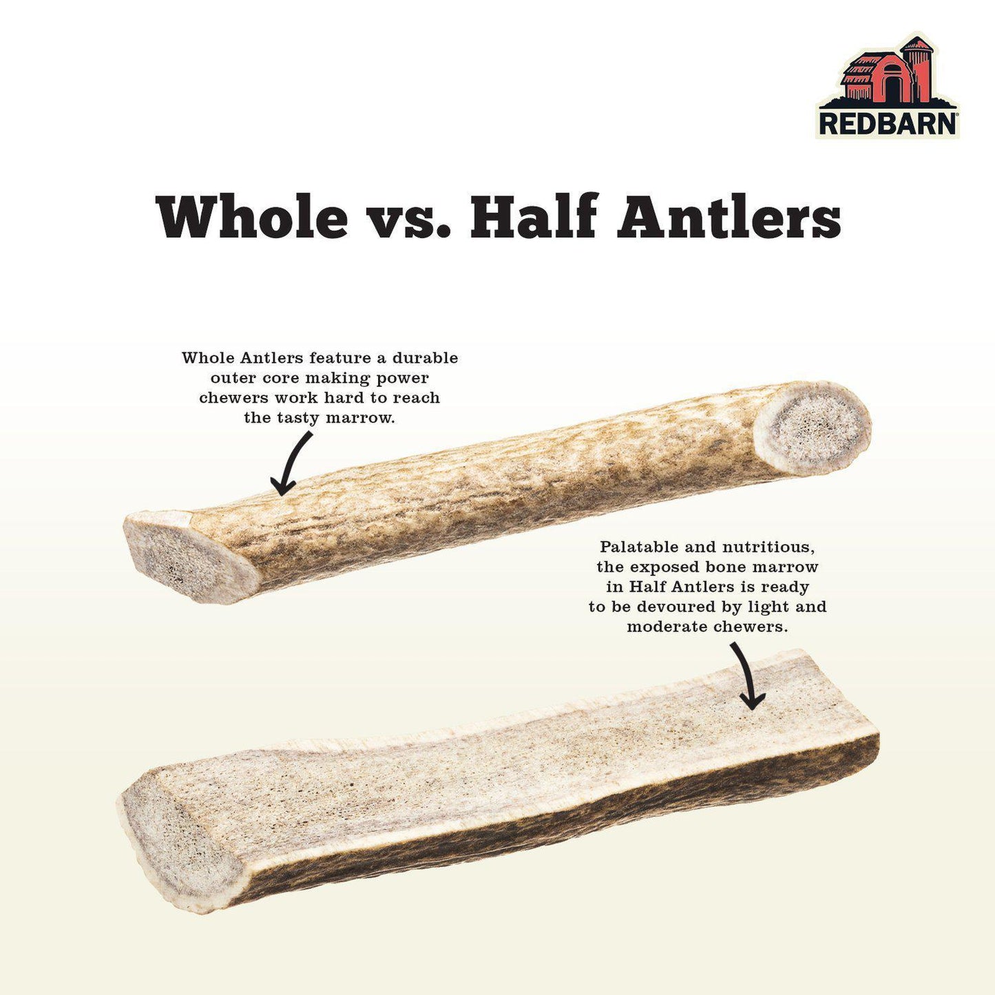 Half Deer Antler