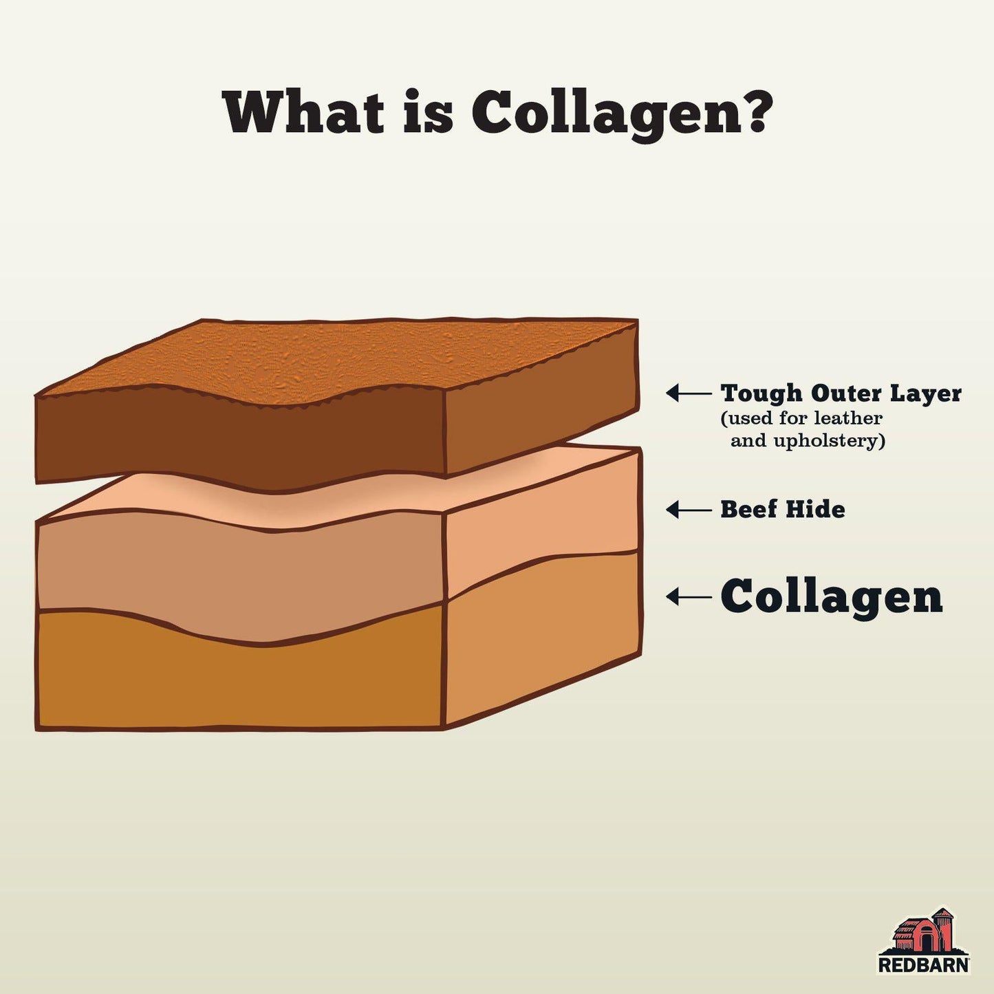 Puffed Collagen Braid