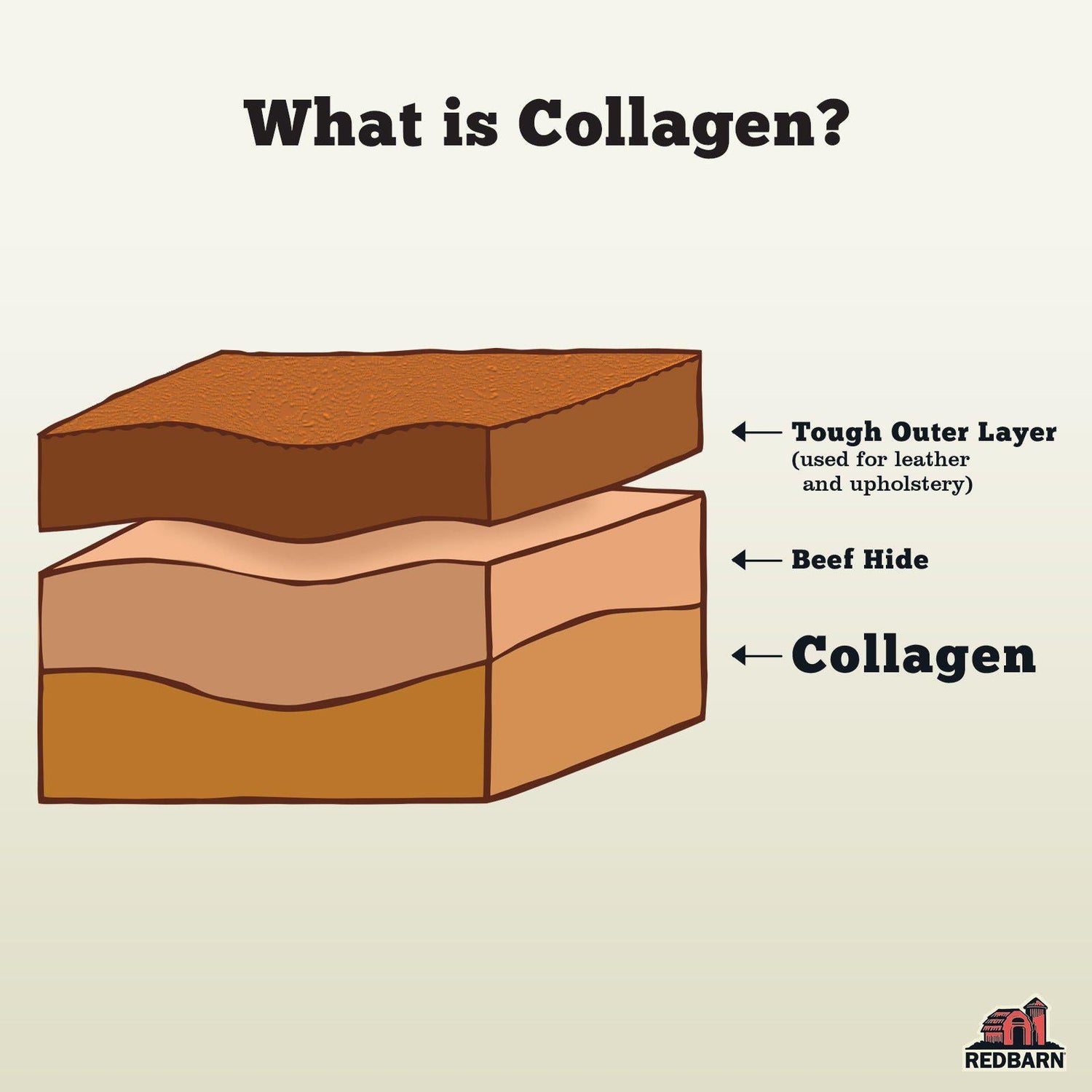 Puffed Collagen Braid